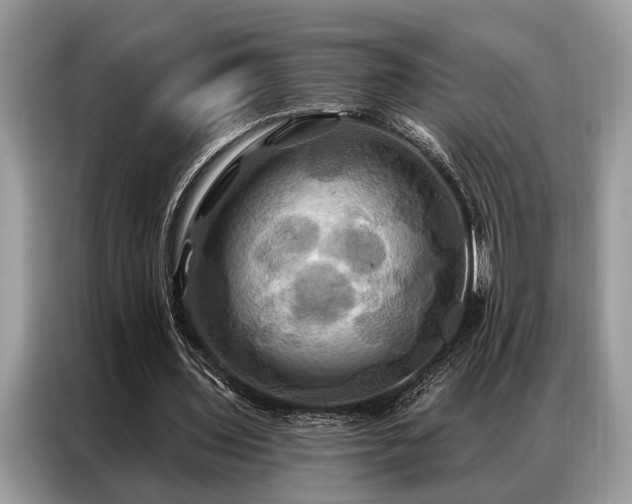 X0000087350435200704271422