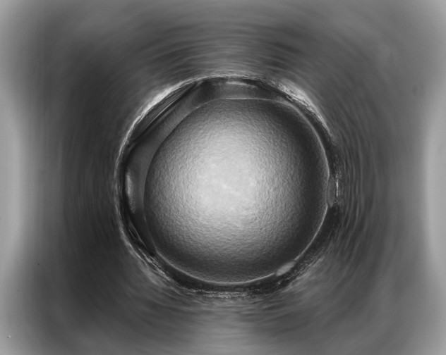 X0000087350436200704271422