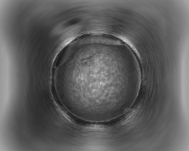 X0000087350437200704271422