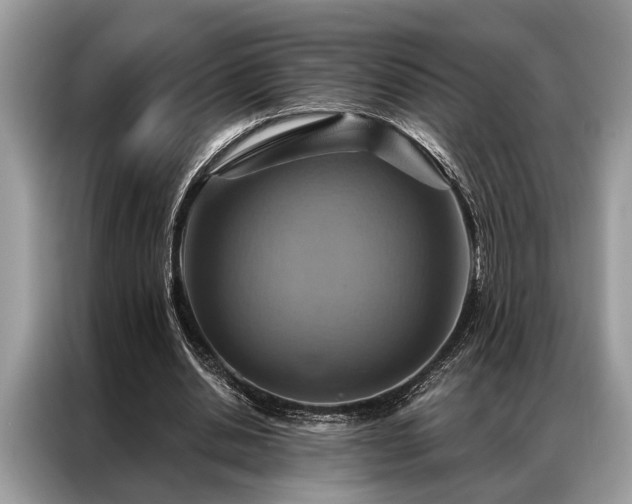 X0000087350438200704271422