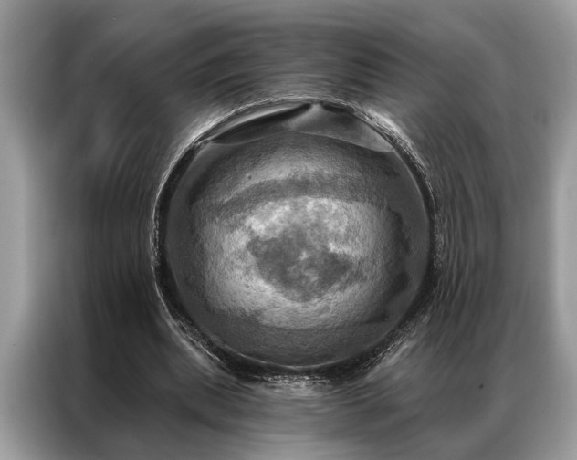 X0000087350439200704271422