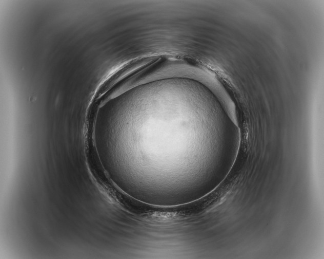 X0000087350440200704271422