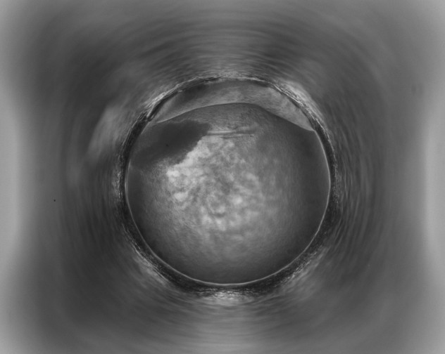 X0000087350441200704271422