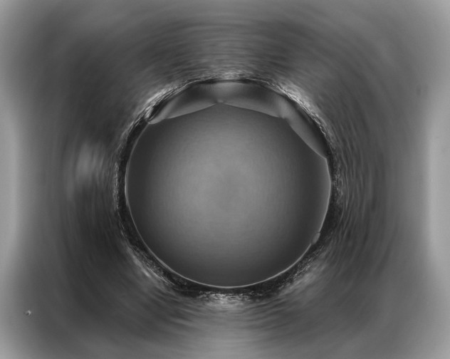 X0000087350442200704271422
