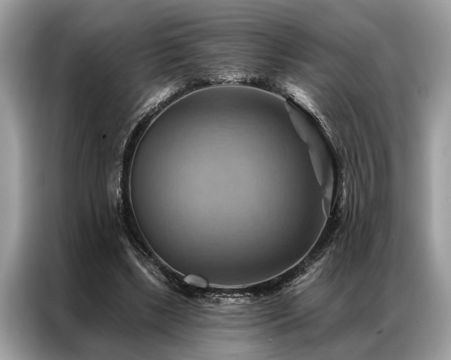 X0000087350443200704271422