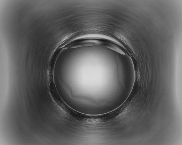 X0000087350444200704271422