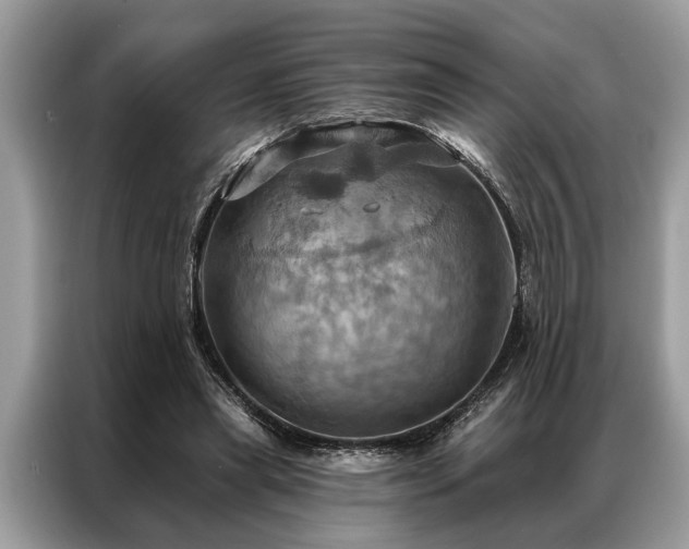 X0000087350445200704271422