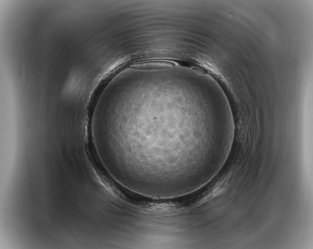 X0000087350446200704271422