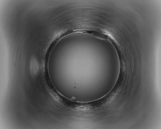 X0000087350447200704271422