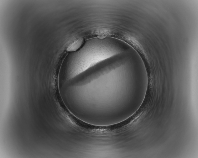 X0000087350449200704271422