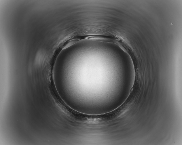 X0000087350450200704271422