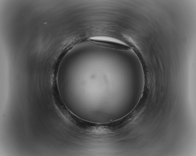 X0000087350451200704271422