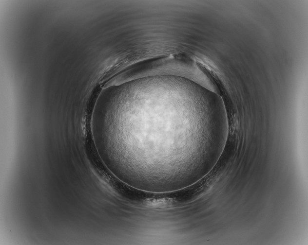 X0000087350452200704271422