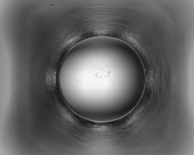 X0000087350454200704271422