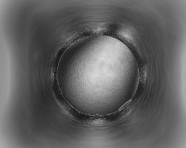 X0000087350456200704271422
