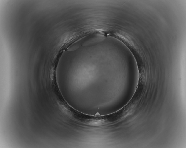 X0000087350458200704271422
