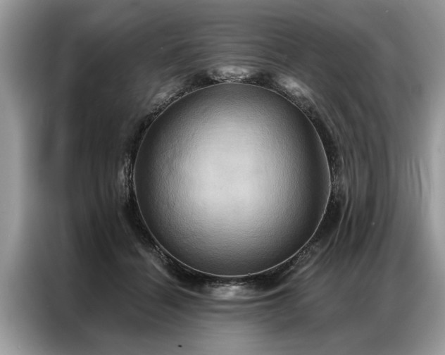 X0000087350460200704271422