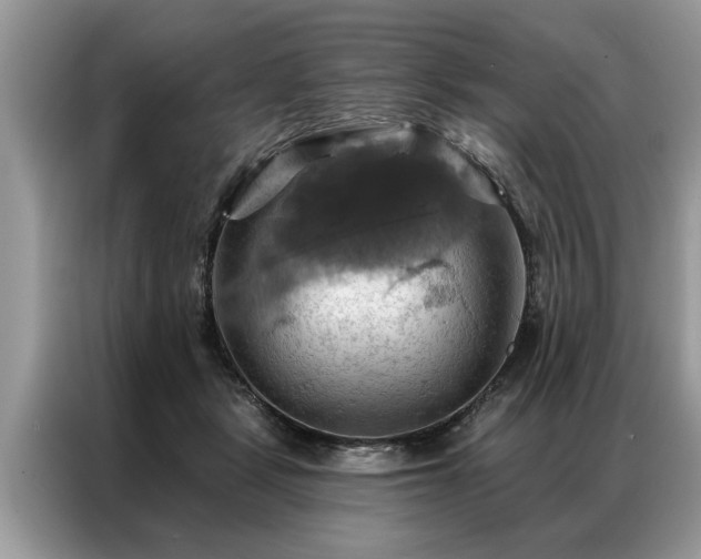 X0000087350461200704271422