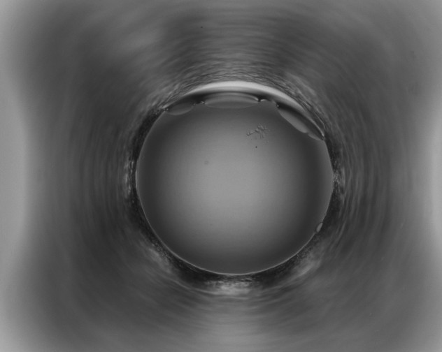 X0000087350462200704271422