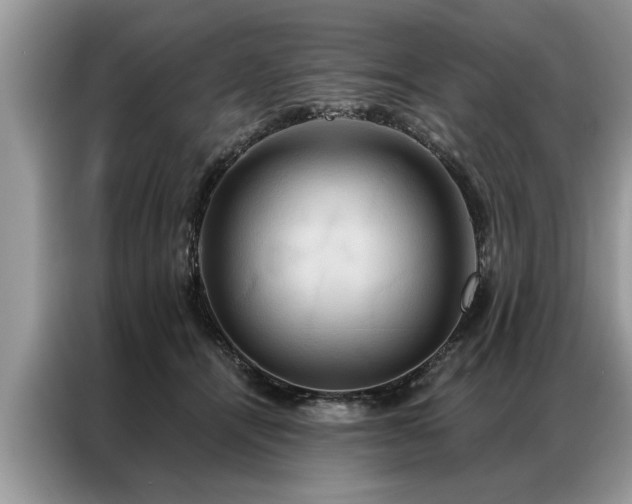 X0000087350464200704271422