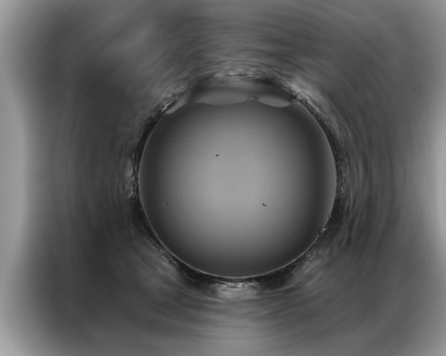 X0000087350465200704271422
