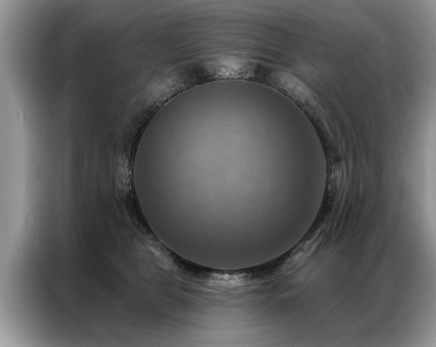 X0000087350469200704271422