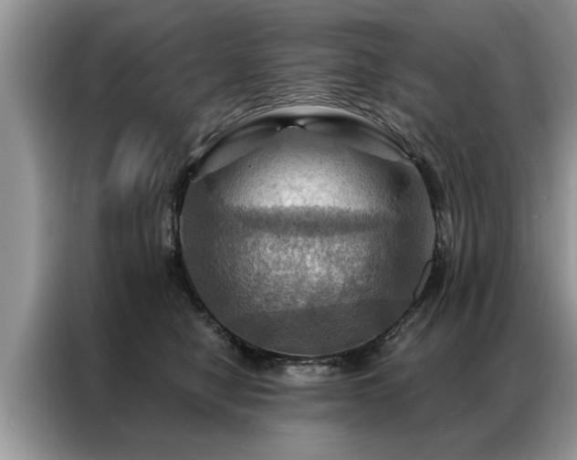 X0000087350470200704271422