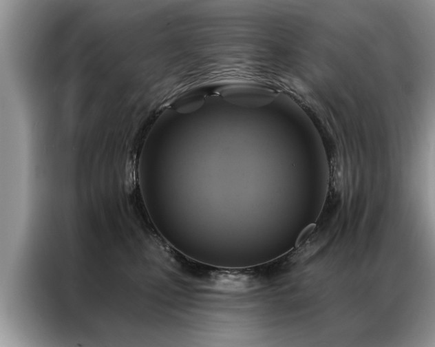 X0000087350471200704271422
