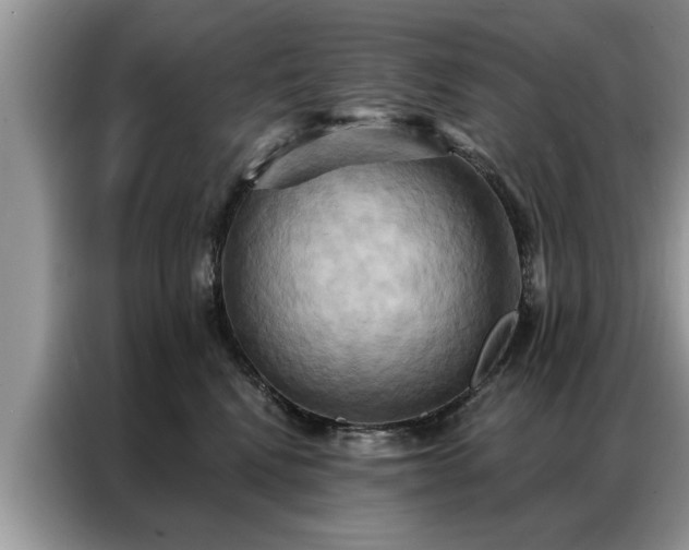 X0000087350472200704271422