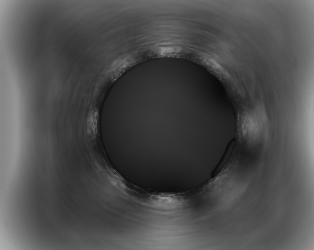 X0000087350475200704271422
