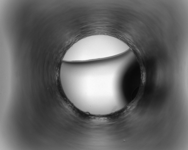 X0000087350476200704271422