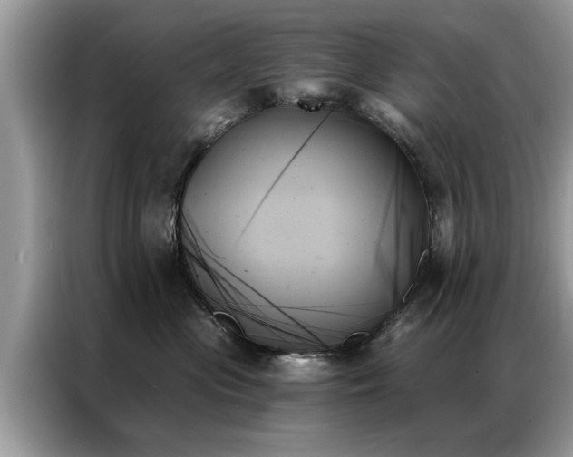X0000087350477200704271422