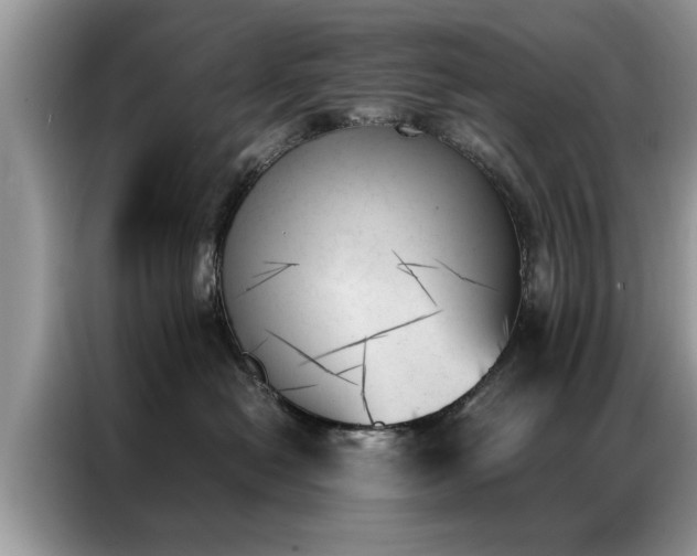 X0000087350478200704271422