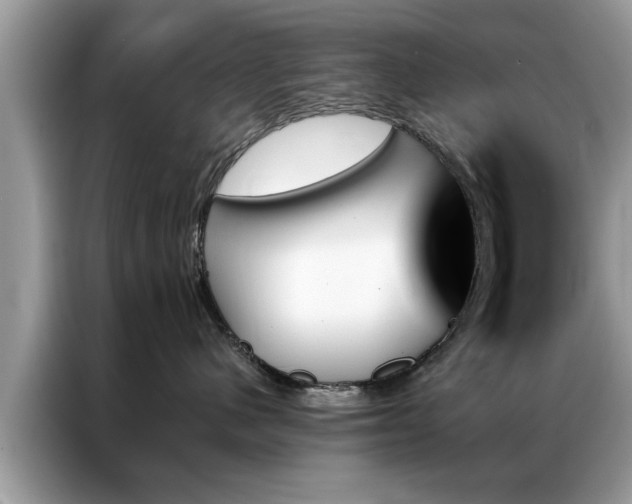 X0000087350480200704271422