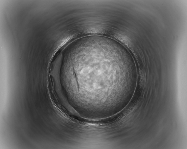 X0000087350482200704271422