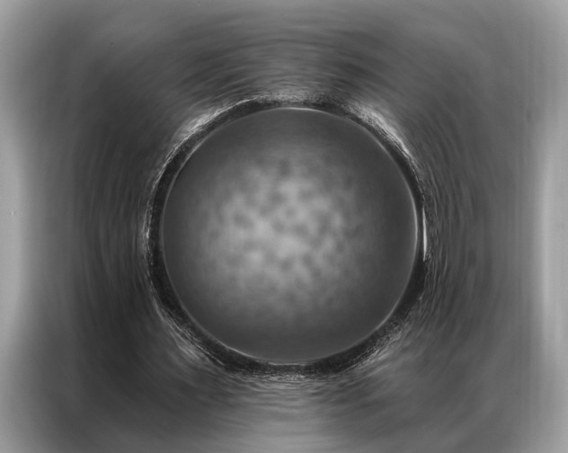 X0000087350483200704271422