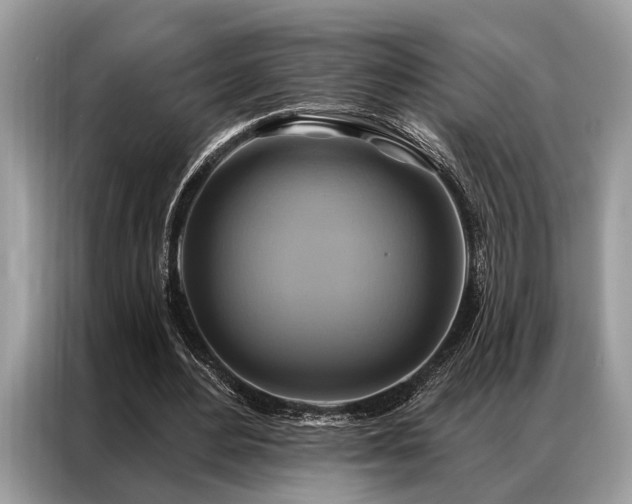 X0000087350484200704271422