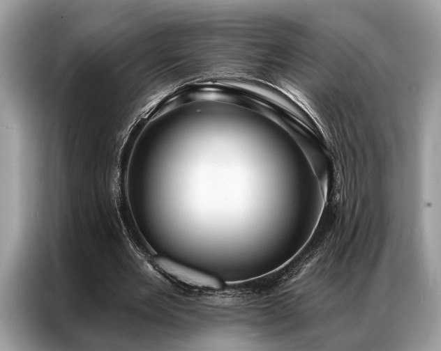 X0000087350485200704271422