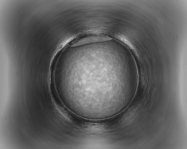 X0000087350486200704271422