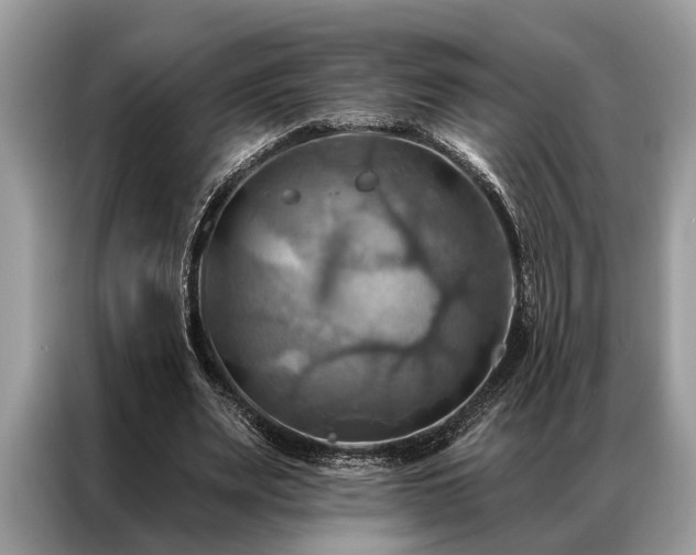 X0000087350487200704271422
