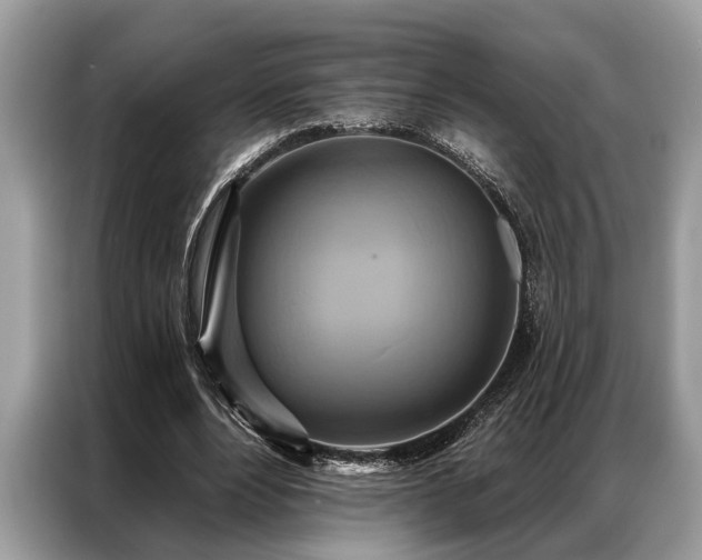 X0000087350488200704271422