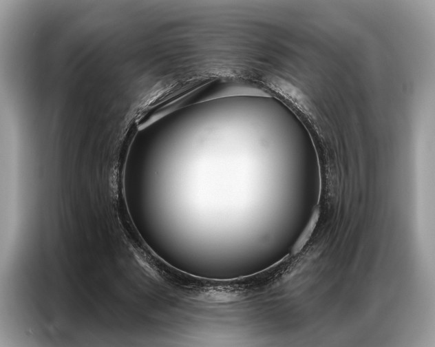 X0000087350489200704271422