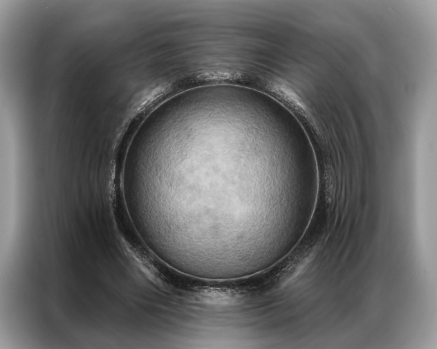 X0000087350490200704271422