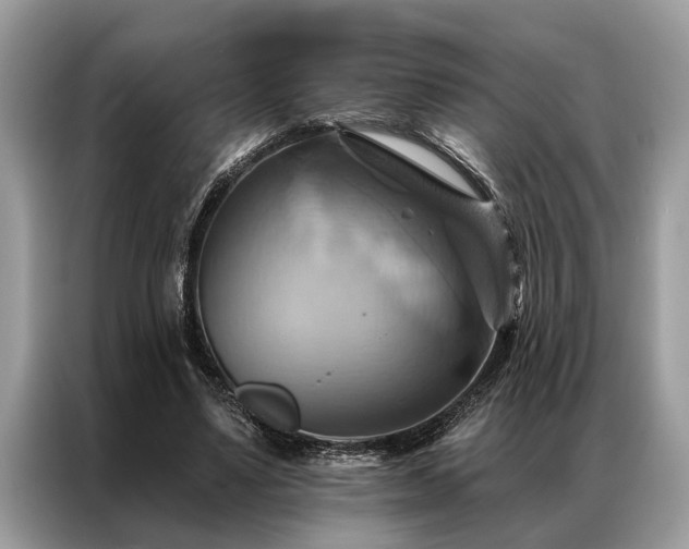 X0000087350491200704271422