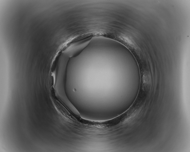 X0000087350492200704271422