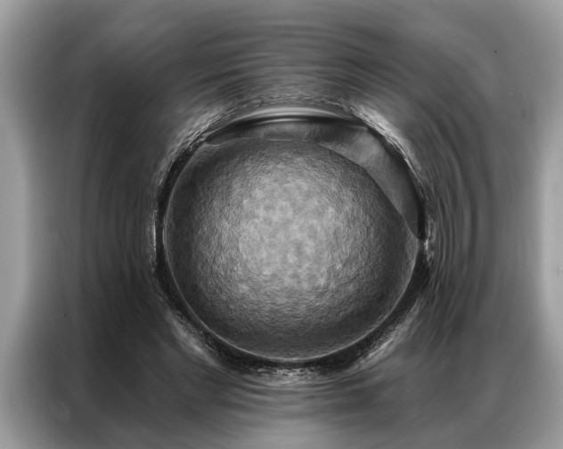 X0000087350493200704271422