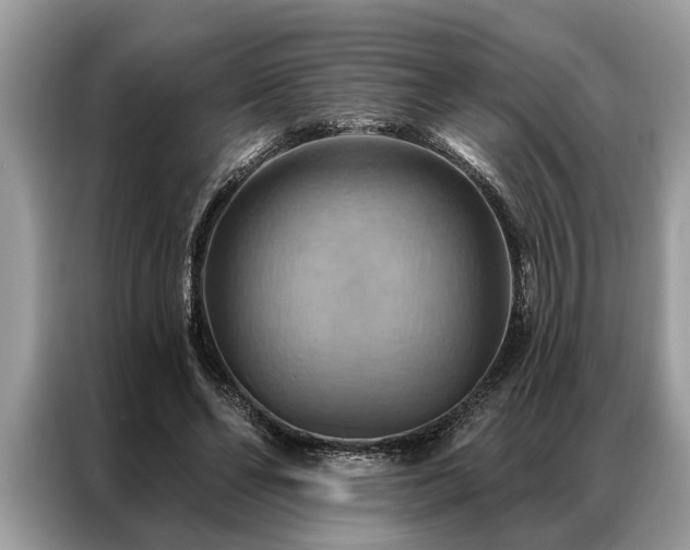 X0000087350494200704271422