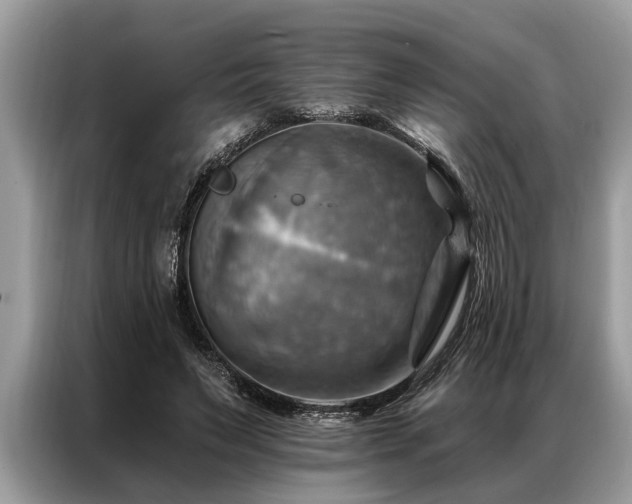 X0000087350495200704271422