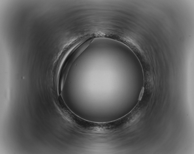 X0000087350496200704271422