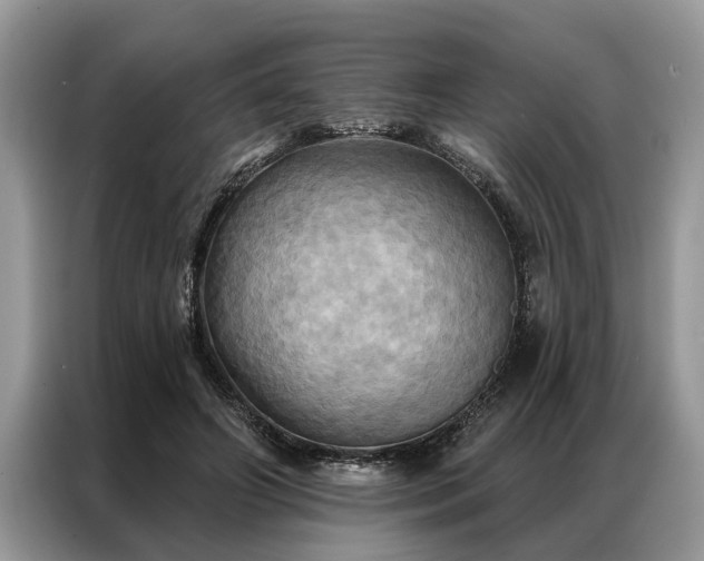 X0000087350498200704271422